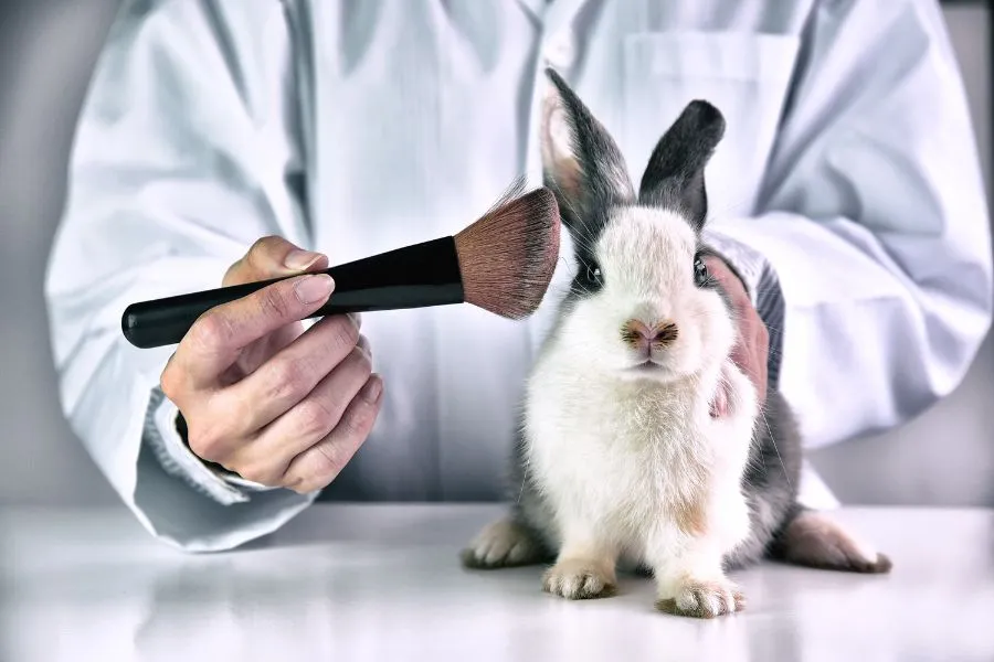 person applying makeup to a bunny in cosmetics testing lab